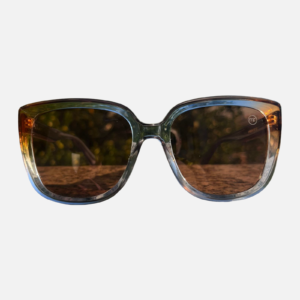 Lud Cinza Marrom Transparente